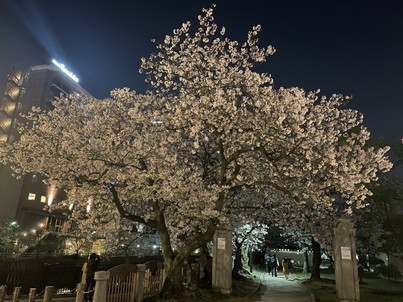 宝当神社